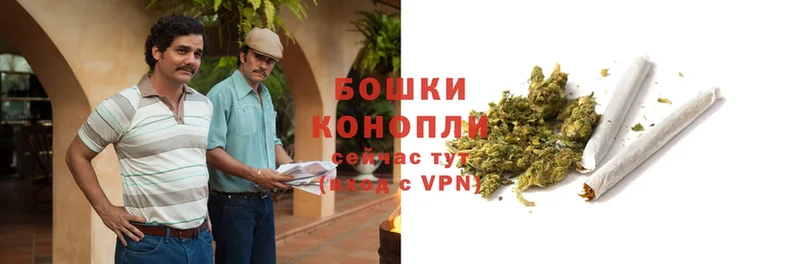 купить  цена  Белозерск  Конопля SATIVA & INDICA 